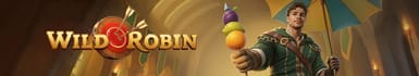 WildRobin Casino