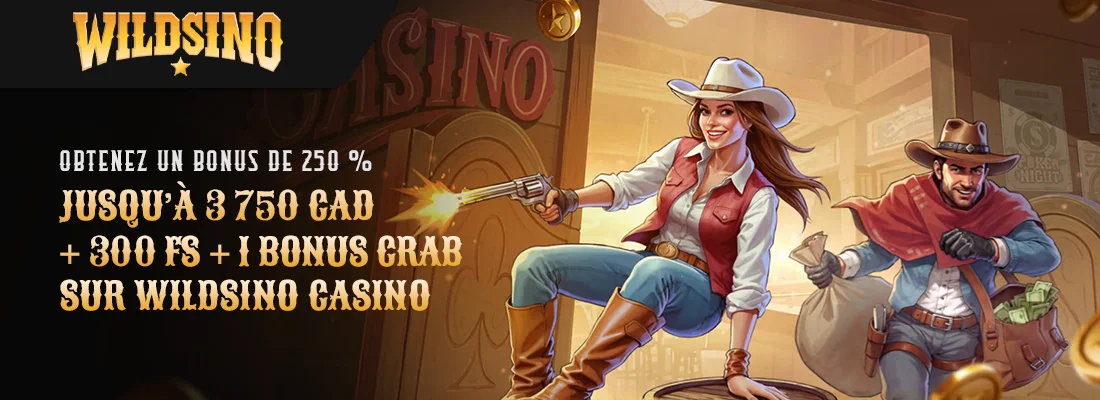 Le bonus de bienvenue wildsino casino